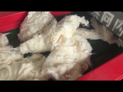 Model 800F lubang layar 6mm, mesin pemotong kapas, mesin pemotong crusher